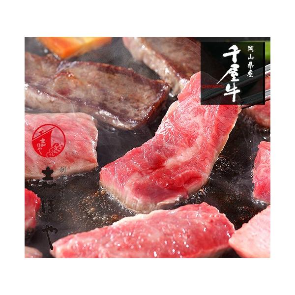 送料無料 千屋牛 焼肉セット ロース カルビ 高級 岡山県産 黒毛和牛 A5 熟成肉 お祝 内祝 お返し お取り寄せ ギフト500g Buyee Buyee 提供一站式最全面最专业现地yahoo Japan拍卖代bid代拍代购服务 Bot Online