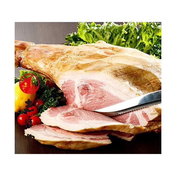 nMtg tn kC \tn 3.8kg j j  Mtg p[eB[  Ε  Hi Hו O nl