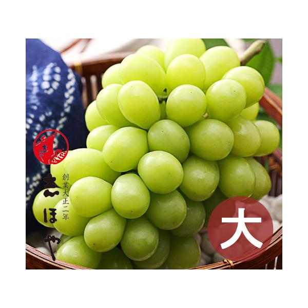 yؗ\F1027zRY VC}XJbg  1[ 850g Ȃ Ԃǂ Mtg ʕ  { v[g ̂  t[c