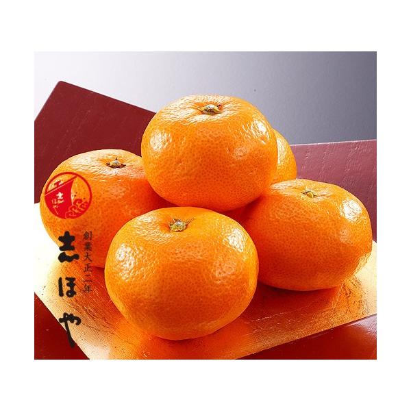 ݂ QY ɏ݂ k 1.5kg 17`18 ZT[I p ʕ Mtg Ε ̂  t[cyo׎F11{`12{z