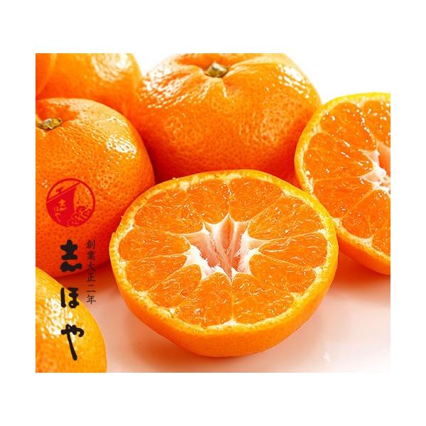 yo׎F11`12{za̎RY Lc݂ 5kg(36`45)l Ε ~Mtg ʕ Mtg {  v[g ̂  t[c