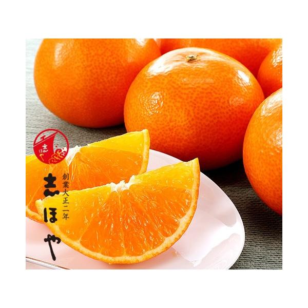 ݂ k QY g܂ǂ 2L`3LTCY  2.5kg(8`11) p ~Mtg Ε ʕ Mtg {  v[g ̂  t[c