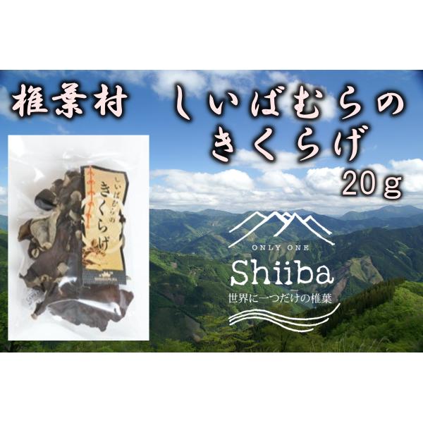原材料　きくらげ原産地　宮崎県椎葉村内容量　20ｇ保存方法　直射日光、高温多湿を避けて保存生産者　（有）しいばむら　　　　宮崎県東臼杵郡椎葉村大字下福良1819販売者　椎葉村物産センター平家本陣　　　　宮崎県東臼杵郡椎葉村大字下福良509-...