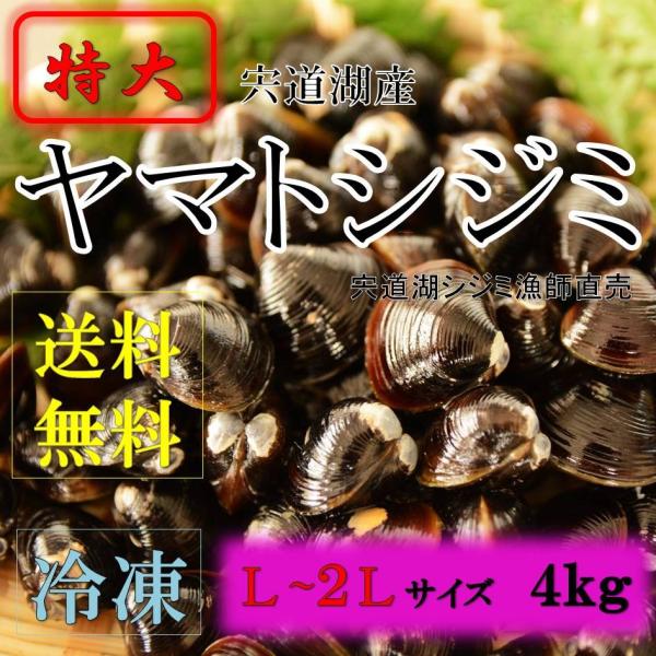 島根県　宍道湖産　シジミ漁師が獲りたてのシジミをお届けします。Ｌ〜２Ｌサイズ　宍道湖産は濃厚なダシが出ます。特大サイズ、少ししか獲れません。大粒なので、酒蒸し、アヒージョなどにもおすすめです。獲れたてのシジミをすぐに砂抜きして鮮度の良いまま...