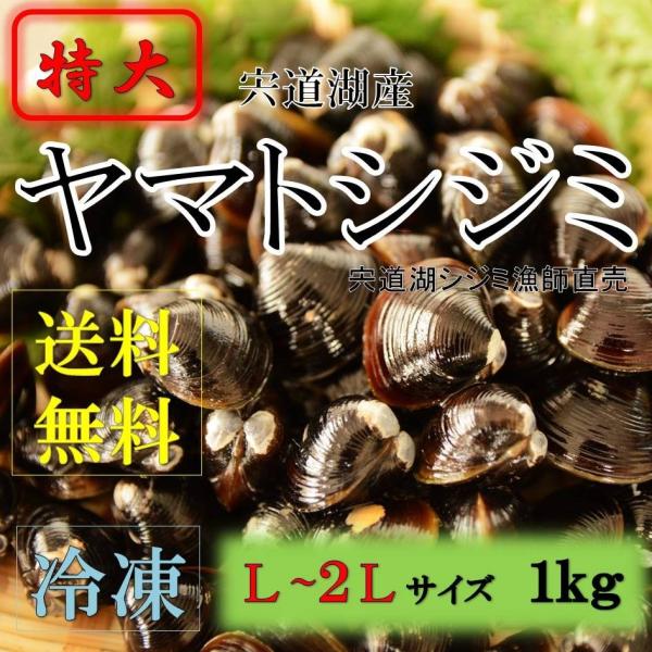 島根県　宍道湖産　シジミ漁師が獲りたてのシジミをお届けします。Ｌ〜２Ｌサイズ　宍道湖産は濃厚なダシが出ます。特大サイズ、少ししか獲れません。大粒なので、酒蒸し、アヒージョなどにもおすすめです。獲れたてのシジミをすぐに砂抜きして鮮度の良いまま...