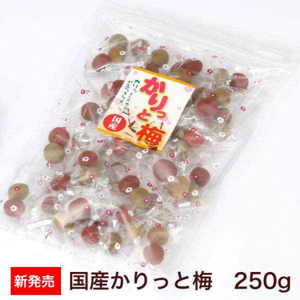 ・名称／調味小梅漬・原材料名／小梅（国産）、漬け原材料[醸造酢、梅酢、食塩、果糖ぶどう糖液糖、発酵調味料、植物たん白加水分解物（大豆を含む）]/酸味料、酒精、調味料（アミノ酸等）、香料、甘味料（スクラロース）、赤色102号・原料原産地名／国...