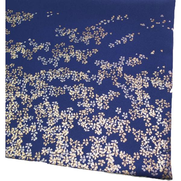 o~ e[u}bg e[uNX h΃}bg o| (2031×47.3cmj Ez i { ʐ