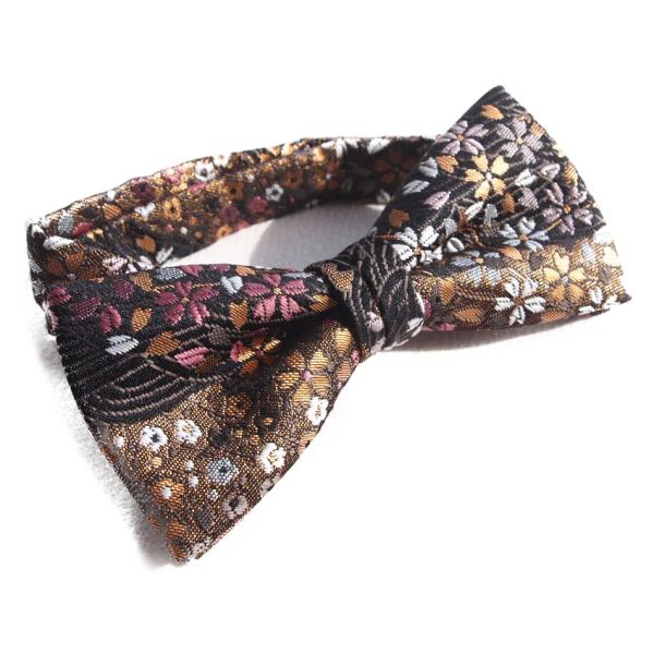 lN^C a s̃{E^CiIWi̒lN^CjE