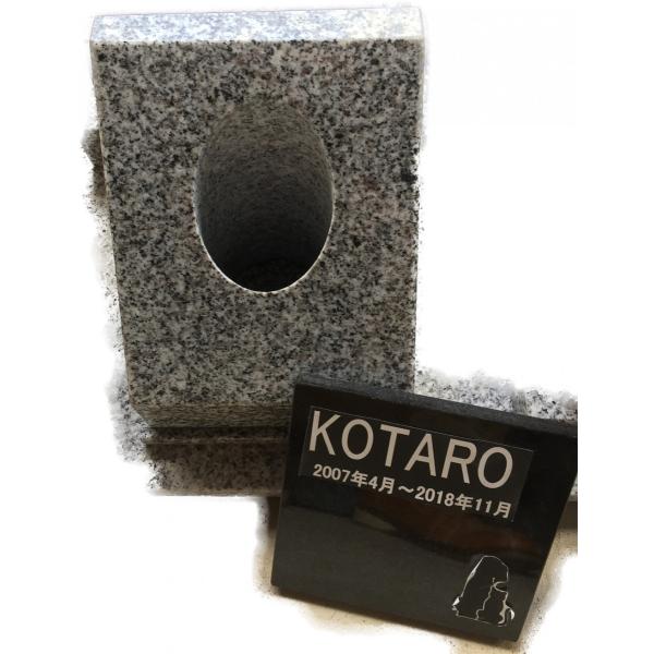 ybgp  ȍ { kotaroo[W