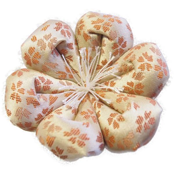 TCY zc Y p ؋p zc  (14 42cm Ԍ^aIW )