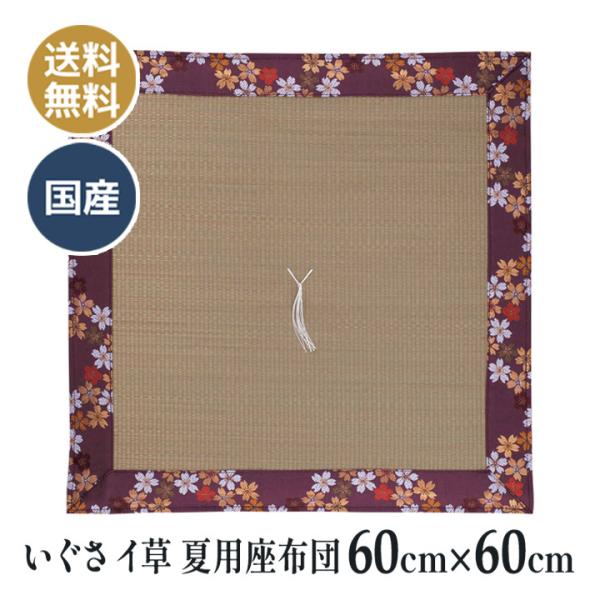 Vї  ėp  iCj zc 60×60  q d O @ @v ~  ̊ @p zc