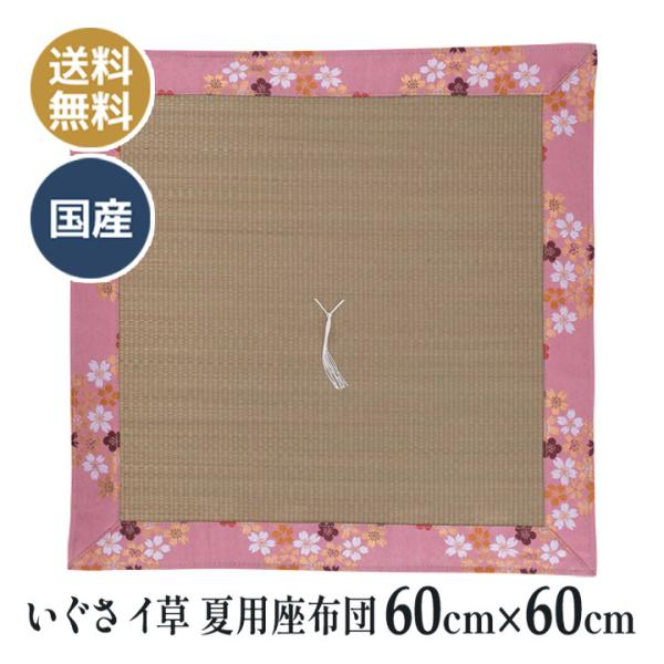 Vї sN ėp  iCj zc 60×60  q d O @ @v ~  ̊ @p zc