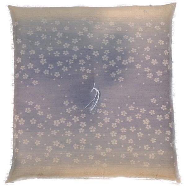 _  O[  Ozc TX×UR  q d O @ @v ~  ̊ @p zc