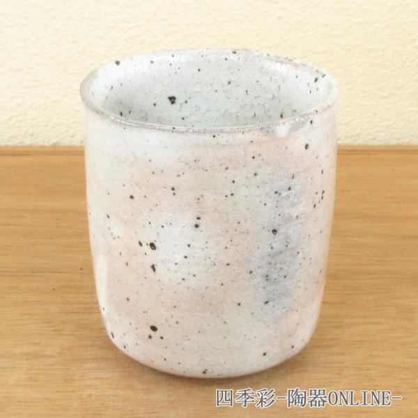  ̂ݒq i   Ɩp Z  23b303-04