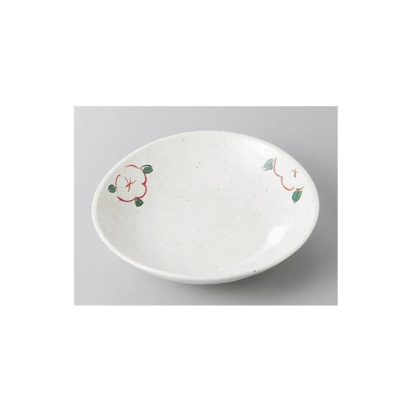 M M ȉ~M ᕲԊG5.0ȉ~[M 16.5cm  aH Ɩp Z 24a305-25