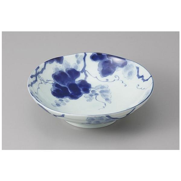  {E hg t Ԃǂ5.5  aH Ɩp Z 24a113-21