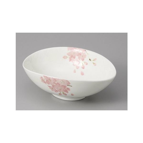  {E  ԏԑȉ~t   aH Ɩp Z 24a105-19