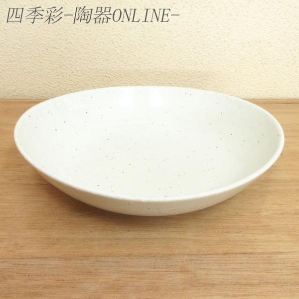 M pX^M J[M ߂M ᕲȉ~21cm[M  aH Ɩp Z 24a515-14