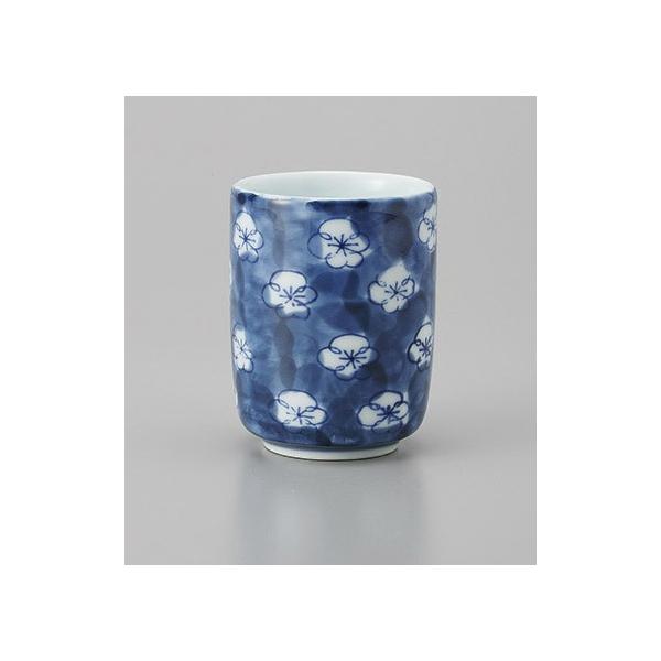 ۂ  ̂ݒq ۂ ~Â  Ɩp Z 24a577-25