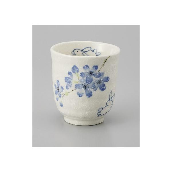 ۂ  ̂ݒq ۂ Ԃ  aH Ɩp Z 24a579-16