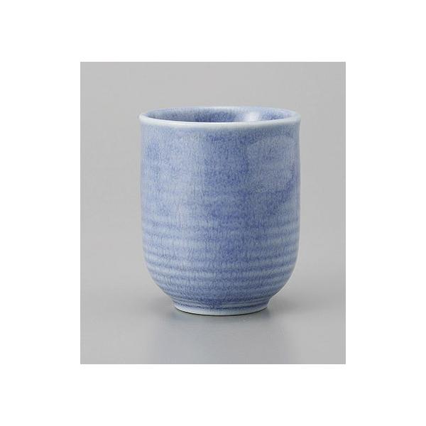 ۂ  ̂ݒq ۂ u[ aH Ɩp Z 24a581-4