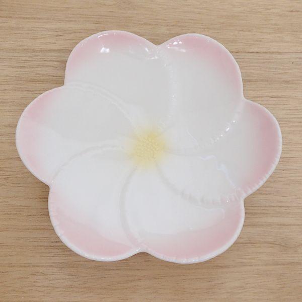 中皿前菜皿花型皿ピンク吹き19 3cm 和食器美濃焼業務用9b136 12 Buyee 日本代购平台 产品购物网站大全 Buyee一站式代购bot Online