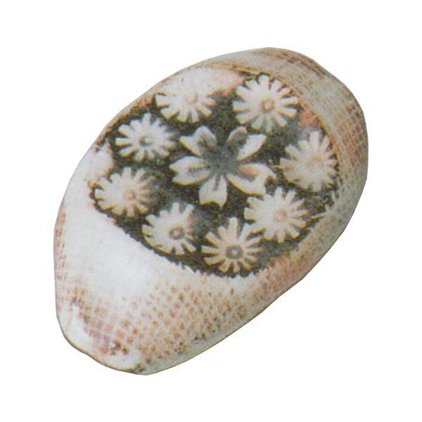 u 炬  aH ƖpH Z 23b312-01