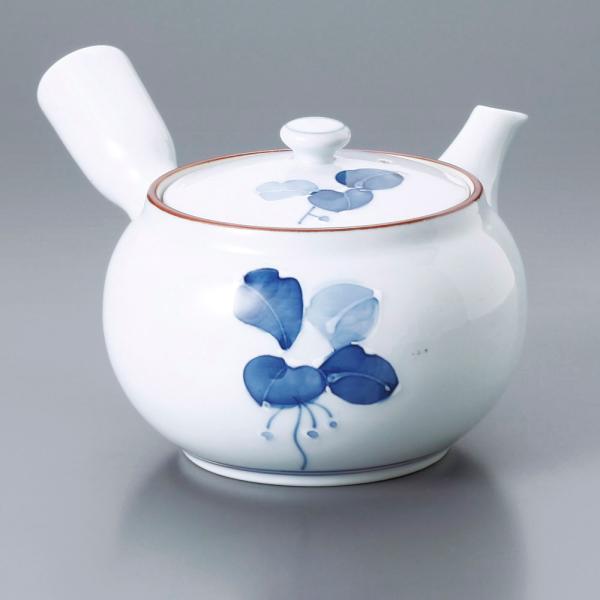 }{  ܂傤 400cc  aH Ɩp Lc 22d47908-739