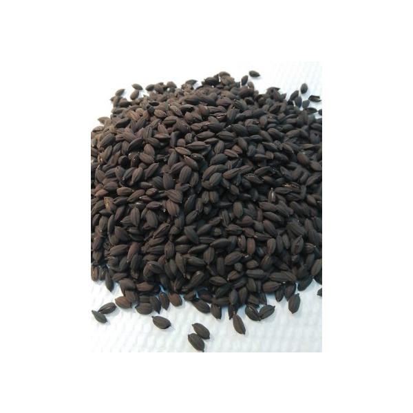 籾付き黒焼き玄米（黒炒り玄米）　200g　ポスト投函便