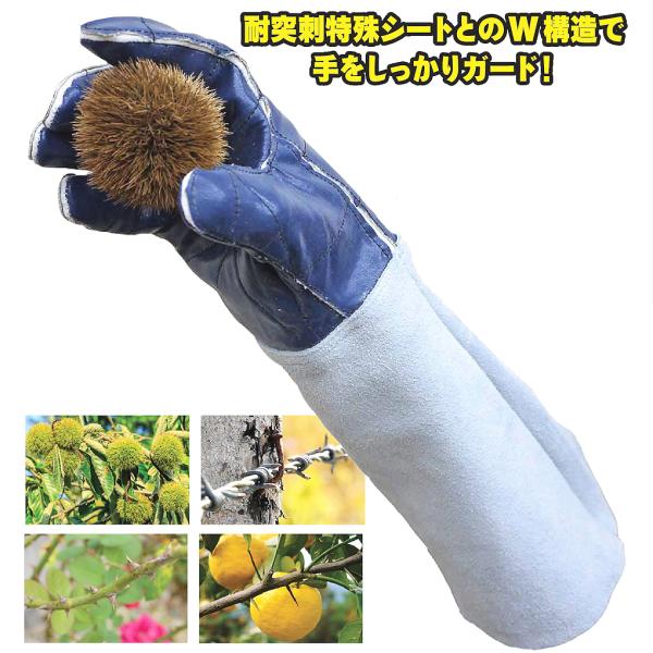 トゲのある木や花の剪定。ゆず等の果樹の収穫。農業、園芸の安全対策に。素材手袋本体：豚皮、ニトリルシート袖口：牛床皮製造：富士グローブ(株)
