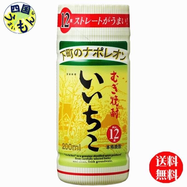 いいちこ25度 【2ケースセット】 三和酒類 いいちこ カップ 麦 12度 