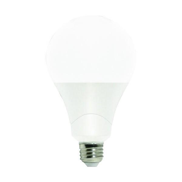 仕様 ・本体色:昼光色・明るさ(lm):2400・消費電力(W):22・消費電力(W)100V:100〜120・電源(V):100・口金:E26