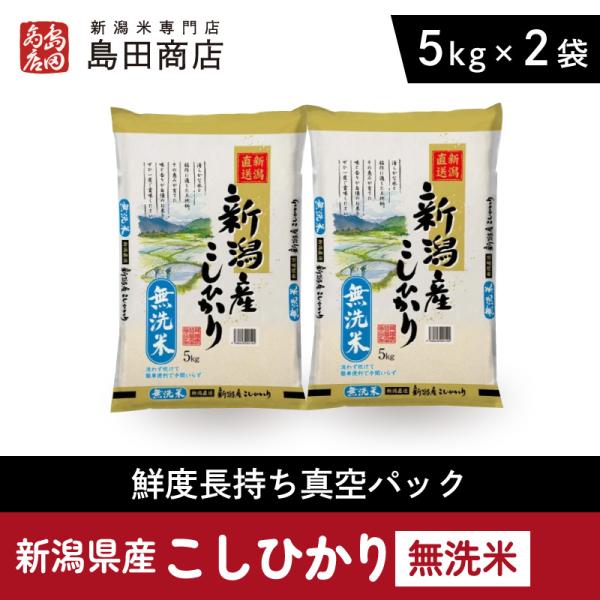 新米 お米 新潟県産 無洗米 コシヒカリ 白米 5kg×2袋 令和7年産 : 新潟