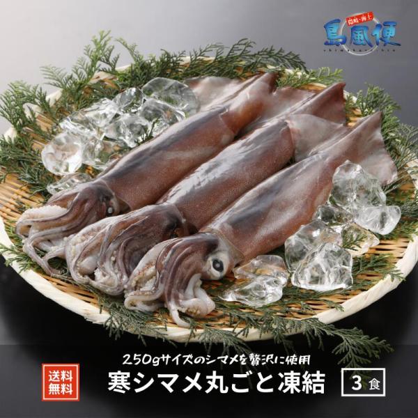 【中サイズ3杯】【胴だけで23ｃｍ前後】寒シマメ丸ごと凍結（1杯約250ｇ）