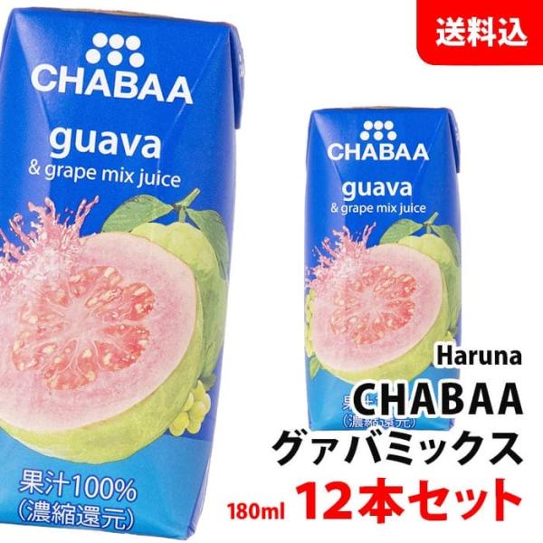 12〜15個 4 kg 新鮮グアバ