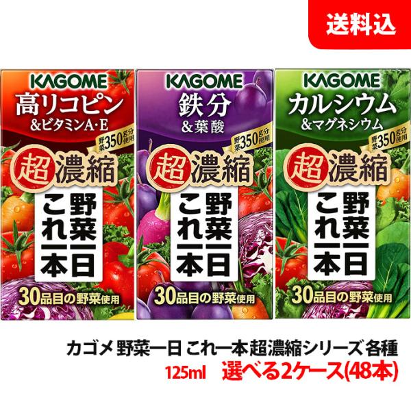  JS ؈{ Zk V[Ye125ml 2P[X(48{) ؃W[X Iׂ Rs S JVE