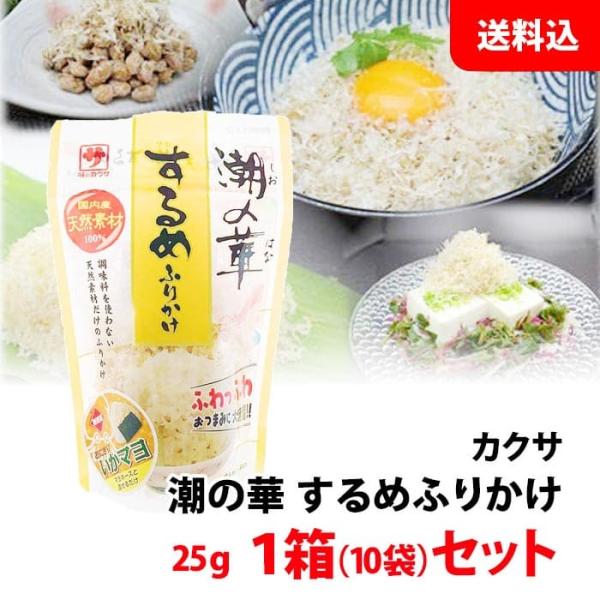 【国内産天然素材】 潮の華 するめ ふりかけ 1箱(10袋) まとめ買い 送料無料 ふわふわ たこ焼 お好み焼き トッピング 国内天然素材 チャック付 カクサ