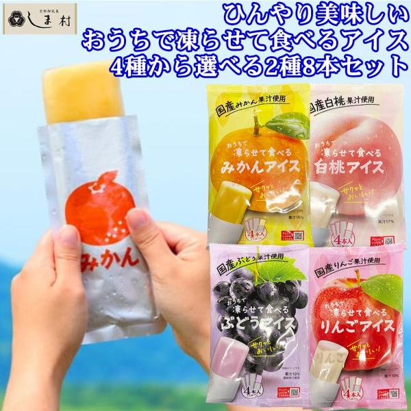 おうちで凍らせて食べるフルーツアイス 4種から選べる2袋セット 谷尾食糧