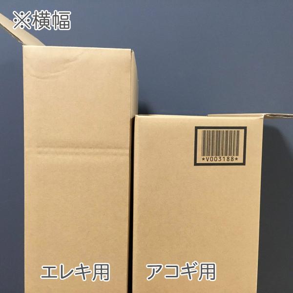 shimamura_mt0041564_2_d_20260302170315