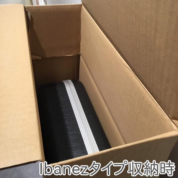 shimamura_mt0041564_3_d_20260302170315