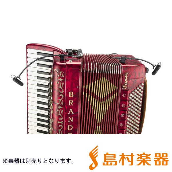 d:vote CORE 4099 Accordion Set (4099-DC-1-101-A)