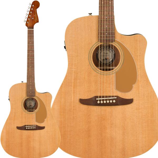 アコースティック california ギター playerの人気商品・通販・価格 