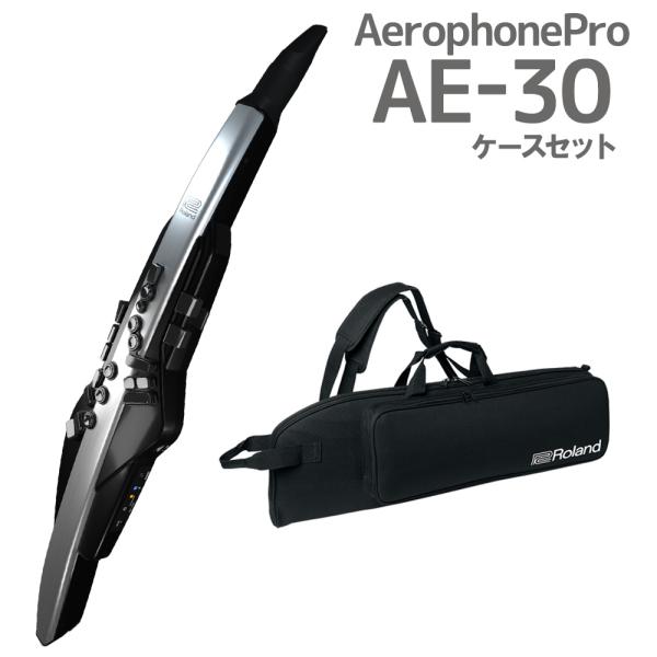 Roland ローランド AE-30 Aerophone Pro ウインドシンセサイザー