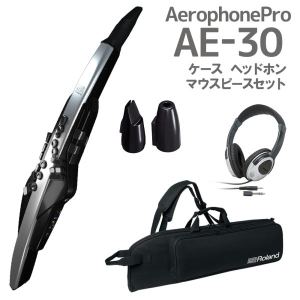 Roland ローランド AE-30 Aerophone Pro ケース ヘッドホン マウスピースセット ウインドシンセ