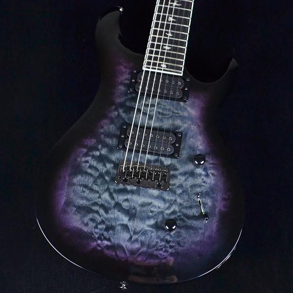Paul Reed Smith（ポールリードスミス） PRS SE Mark Holcomb SVN