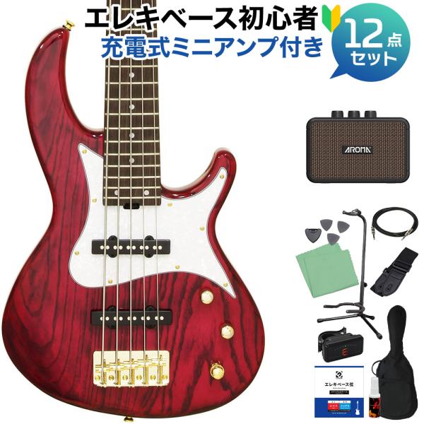 AriaProII アリアプロ2 RSB-42AR/5 SPK 5弦ベース初心者12点セット 充電式ミニアンプ付