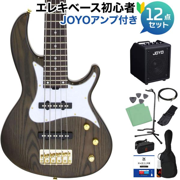 AriaProII アリアプロ2 RSB-42AR/5 SBK 5弦ベース初心者12点セット 多機能アンプ付