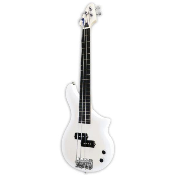 TBP-3450WFM DX-3 Line Fretless Travel Bass