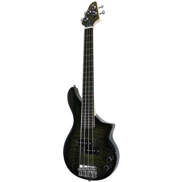 TBP-3450BFM DX-3 Line Fretless Travel Bass