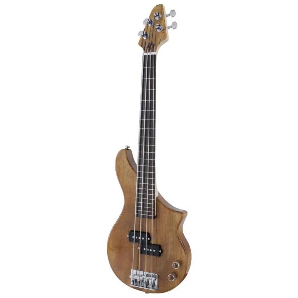 TBP-3450NSM Fretless Travel Bass